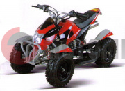 ATV MM SPRINT CHARGER  
