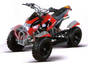 ATV MM SPRINT CHARGER  
