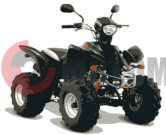 ATV Patron Scaner 110