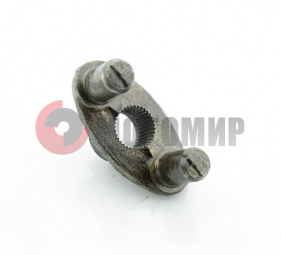 ����� ���� ������� ������ �����