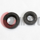 ����� ��������� 250ZH