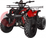  Avantis Hunter 8" Lite 125cc 4 (2018 )