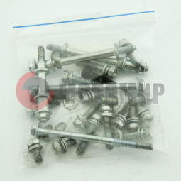 Набор болтов двигателя Газуля 4т. Набор болтов двигателя Газуля 4т.