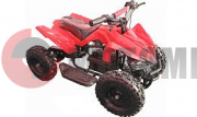 ATV MM PHOENIX SPORT  