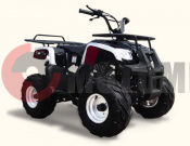 ATV Omaks SP 302 110
