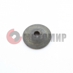 ���� �������