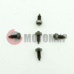 ���� ����������� ��������� Safari200