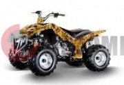 ATV FORSAGE Easy Rider 125