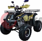  Avantis Hunter 8"M+ 125cc 4 (2018 )