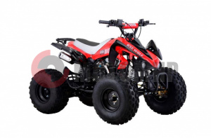 ���������� ������� BSE WOLF �������