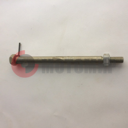 ��� ������ ������ �����