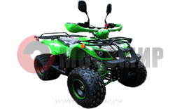 ATV MM TERMIT LIBRE ATM 110 (3МКПП+реверс.полуавтомат) диск/диск (19*7/8/18*9,5*8) ATV MM TERMIT LIBRE ATM 110 (3МКПП+реверс.полуавтомат) диск/диск (19*7/8/18*9,5*8)