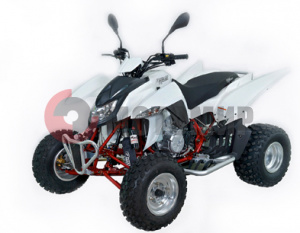 ATV QuadRaider 450 ���������� ����� ������