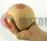 ����� �/������ ������� � ���� �����.�����