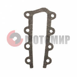 Прокладка ИжПл заглушки цилиндра Прокладка ИжПл заглушки цилиндра