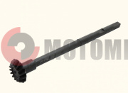 ��� ����� (������.) ��������.