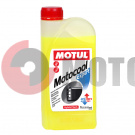   MOTUL Motocool Expert -37 C 1 