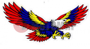 �������� ���� (40*90) �����.