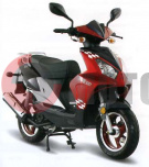 ������ Patron Shark 125