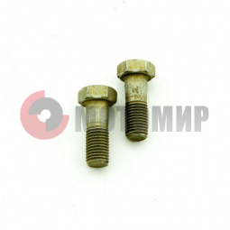 ���� �� �8�22 ������ �������