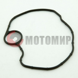 ��������� ��V 250��3.������ ������� �������� ���������