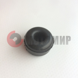 ����������� ���� �������� �������