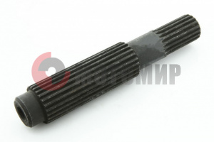 ��� ����� ����� �40601081