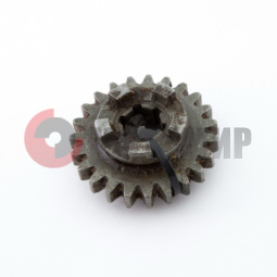 �������� ������� 23 ���.