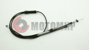 ���� ����� ���� �40800350 ������� �������