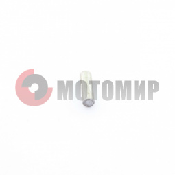 Штифт Нептун крыльчатки (160230042) Штифт Нептун крыльчатки (160230042)