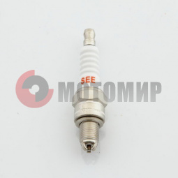 �����  C7HNS 3�-����.(M10*1,00 12,7mm) (4�.GY6 50, Delta) SEE 