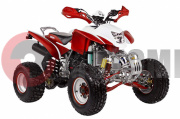 ATV Irbis 250 S