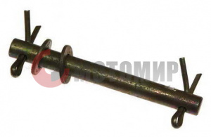 ��� ����� ��������� ���� (�������) 110300136