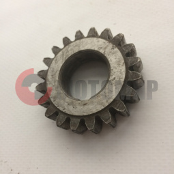 �������� ���� 4-� �� (20) ��������� ���