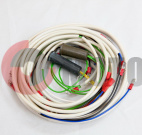 �������� �����