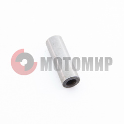 ����� �������8