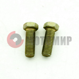 ���� �� �10 ������ �����������