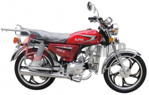 ����� ���� ALPHA 50�� (L)����