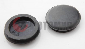 �������� ������� ������� (110600079)