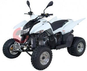 ATV QuadRaider 300 SS   