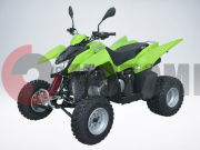 ATV QuadRaider 300 SS   